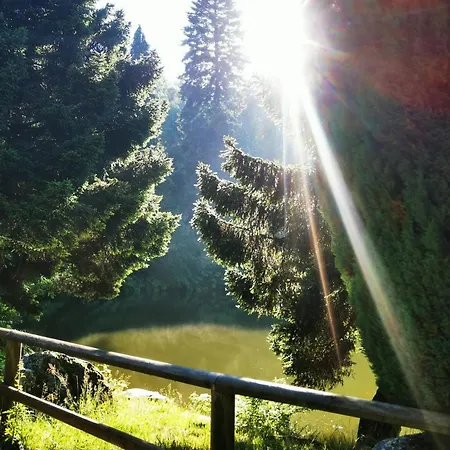 Miuti Apartment Triberg im Schwarzwald