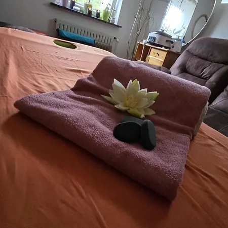 Apartment Miuti